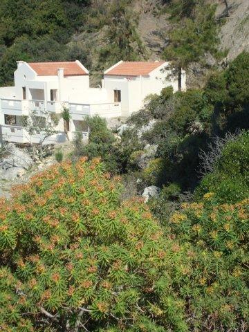 Ravdoucha Beach Studios Ravdhoúkha Екстериор снимка
